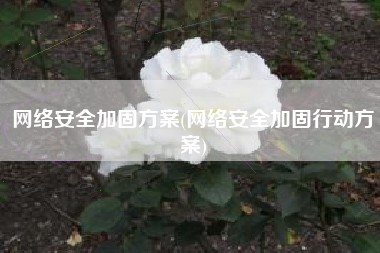 网络安全加固方案(网络安全加固行动方案)