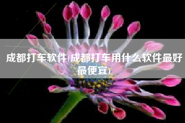 成都打车软件(成都打车用什么软件最好最便宜)