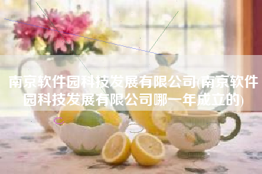 南京软件园科技发展有限公司(南京软件园科技发展有限公司哪一年成立的)