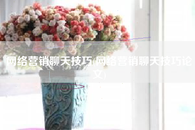 网络营销聊天技巧(网络营销聊天技巧论文)