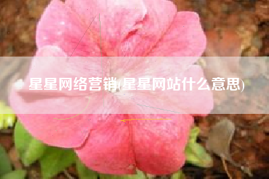 星星网络营销(星星网站什么意思)
