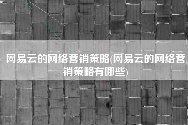 网易云的网络营销策略(网易云的网络营销策略有哪些)