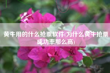 黄牛用的什么抢票软件(为什么黄牛抢票成功率那么高)