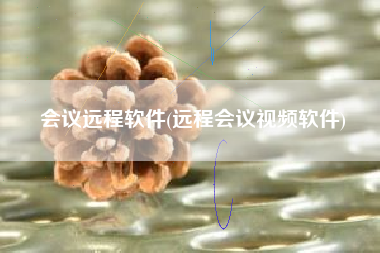 会议远程软件(远程会议视频软件)