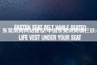 东莞凤岗网站建设(中国东莞凤岗镇栏目)