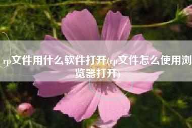 rp文件用什么软件打开(rp文件怎么使用浏览器打开)