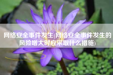 网络安全事件发生(网络安全事件发生的风险增大时应采取什么措施)