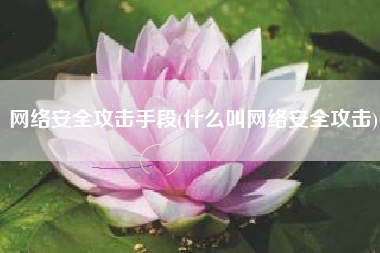 网络安全攻击手段(什么叫网络安全攻击)