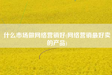 什么市场做网络营销好(网络营销最好卖的产品)