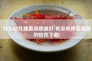 什么软件搜英语题最好(有没有搜英语题的软件下载)