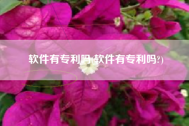 软件有专利吗(软件有专利吗?)