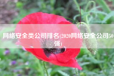网络安全类公司排名(2020网络安全公司50强)