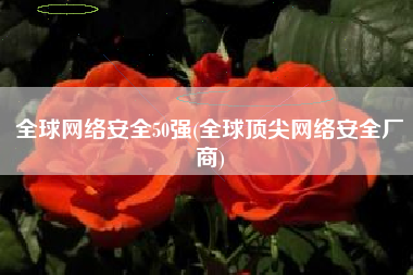全球网络安全50强(全球顶尖网络安全厂商)