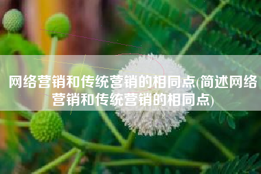网络营销和传统营销的相同点(简述网络营销和传统营销的相同点)