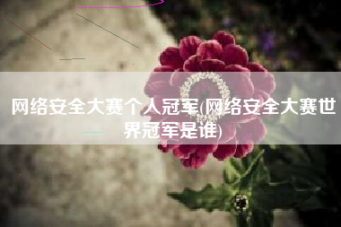 网络安全大赛个人冠军(网络安全大赛世界冠军是谁)