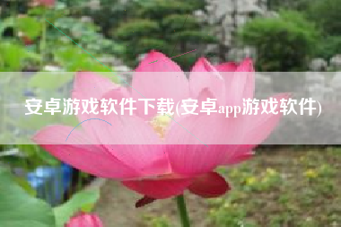 安卓游戏软件下载(安卓app游戏软件)