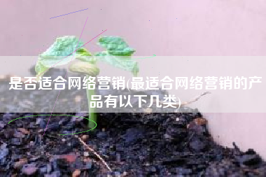 是否适合网络营销(最适合网络营销的产品有以下几类)