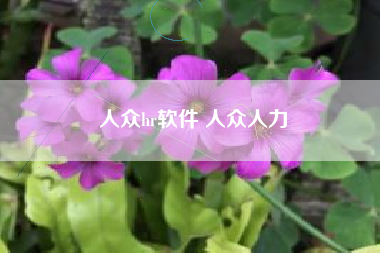 人众hr软件 人众人力