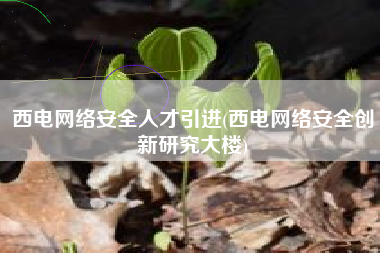 西电网络安全人才引进(西电网络安全创新研究大楼)
