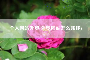 个人网站外贸(外贸网站怎么赚钱)