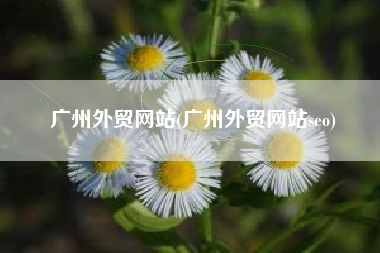 广州外贸网站(广州外贸网站seo)