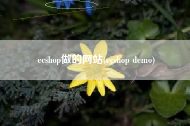 ecshop做的网站(ecshop demo)