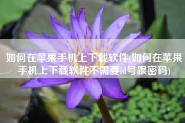 如何在苹果手机上下载软件(如何在苹果手机上下载软件不需要id号跟密码)