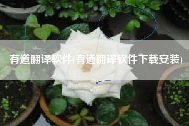 有道翻译软件(有道翻译软件下载安装)