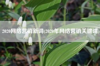 2020网络营销新词(2020年网络营销关键词)
