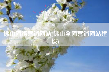 佛山网络营销网站(佛山全网营销网站建设)