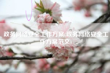 政务网络安全工作方案(政务网络安全工作方案范文)