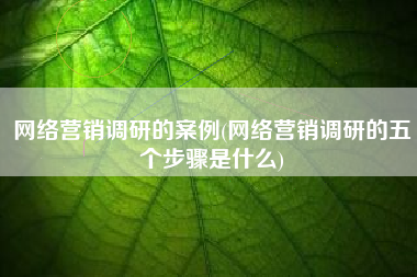 网络营销调研的案例(网络营销调研的五个步骤是什么)