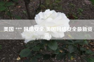 美国 *** 网络安全(美国网络安全最新资讯)