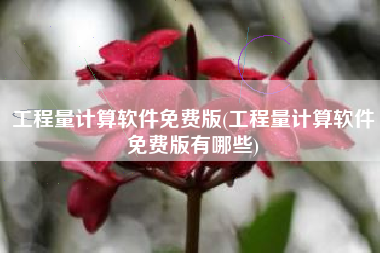 工程量计算软件免费版(工程量计算软件免费版有哪些)