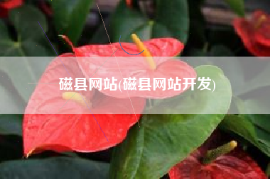 磁县网站(磁县网站开发)