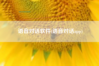 语音对话软件(语音对话app)