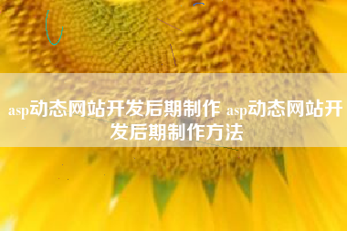 asp动态网站开发后期制作 asp动态网站开发后期制作方法