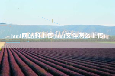 html网站的上传(html文件怎么上传)
