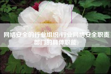 网络安全的行业组织(行业网络安全职责部门的具体职能)