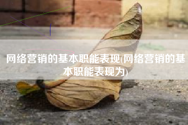 网络营销的基本职能表现(网络营销的基本职能表现为)