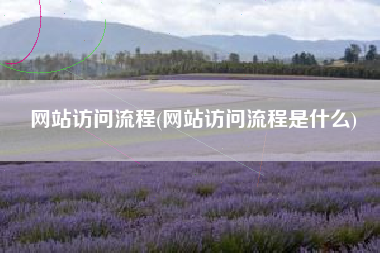 网站访问流程(网站访问流程是什么)