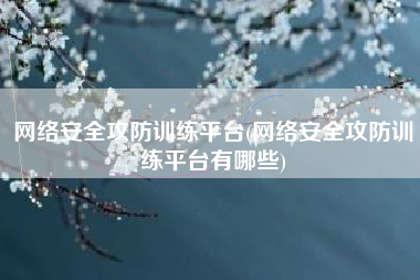 网络安全攻防训练平台(网络安全攻防训练平台有哪些)