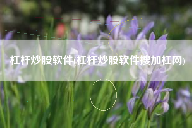 杠杆炒股软件(杠杆炒股软件搜加杠网)