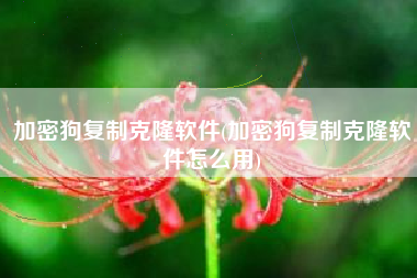 加密狗复制克隆软件(加密狗复制克隆软件怎么用)