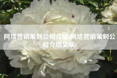网络营销策划公司介绍(网络营销策划公司介绍文案)