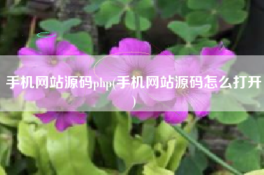 手机网站源码php(手机网站源码怎么打开)