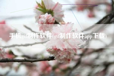 手机gif制作软件(gif制作软件app下载)