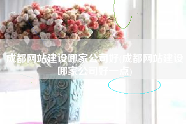 成都网站建设哪家公司好(成都网站建设哪家公司好一点)