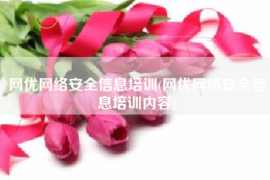 网优网络安全信息培训(网优网络安全信息培训内容)