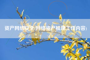 资产网络安全(网络资产梳理工作内容)